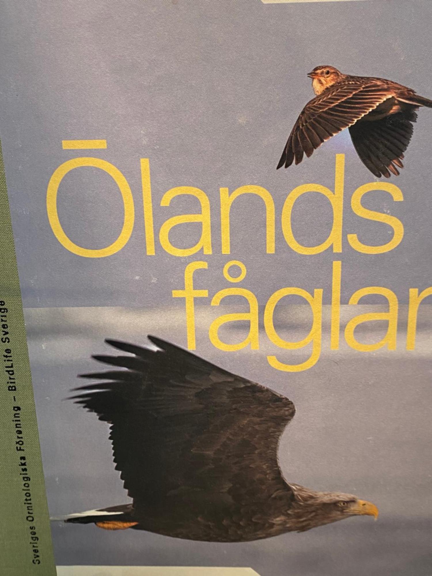 Apartamento Idyliska Boende Mitt Pa Oeland Färjestaden Exterior foto
